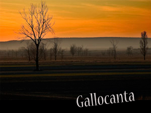 gallocanta