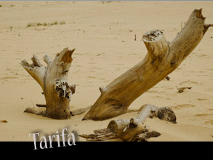 tarifa
