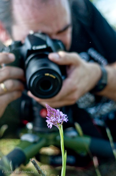 MACROFOTOGRAFIA-LOS-VALLES-6