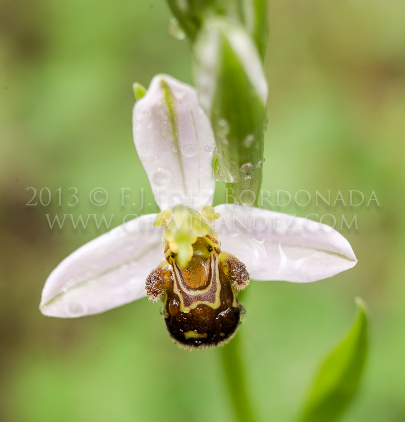 Junio Pyrenees Workshop con Rafael Marzal y Photolocus.net