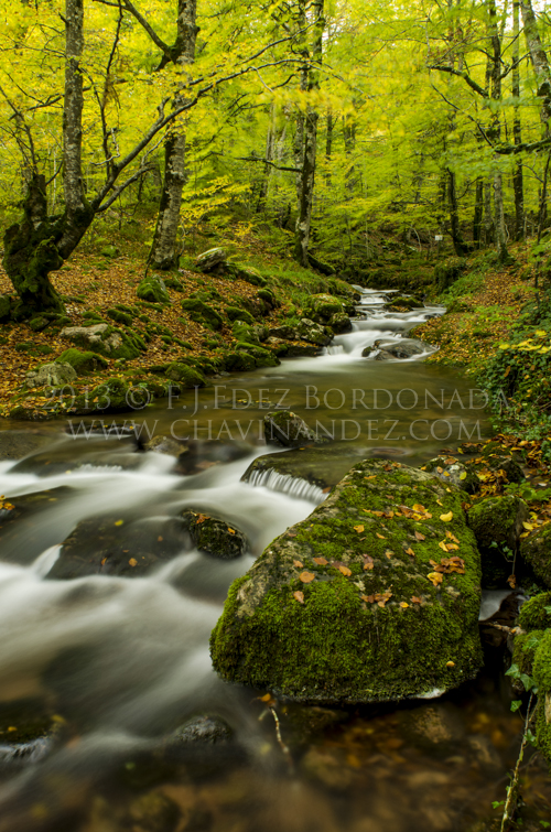 cursos-fotografia-octubre