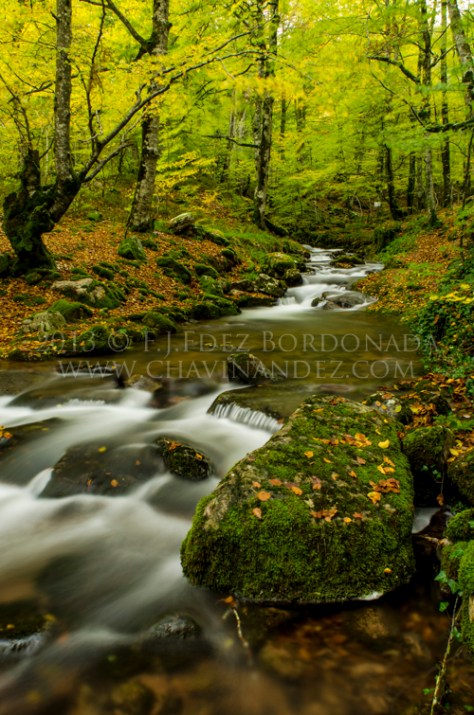 cursos-fotografia-octubre