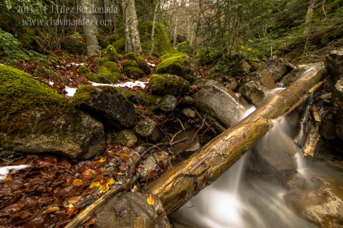 fotolocus-Diaporama-9