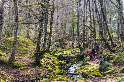 13826767323_4f6918d87e