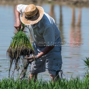 TALLERFOTOGRAFIADELTAEBRO-12