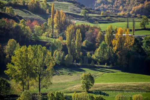 PallarsSobiraWorkshop-21