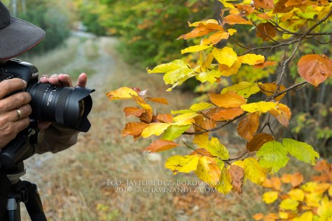 Moncayo Workshop 2014