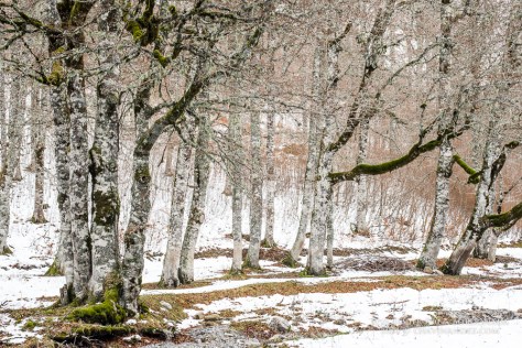 Workshop Los Valles Occidentales