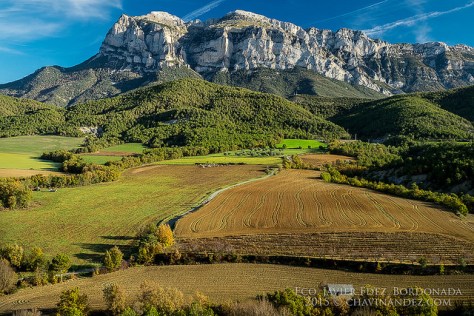 22652275499_f27151c53f_z