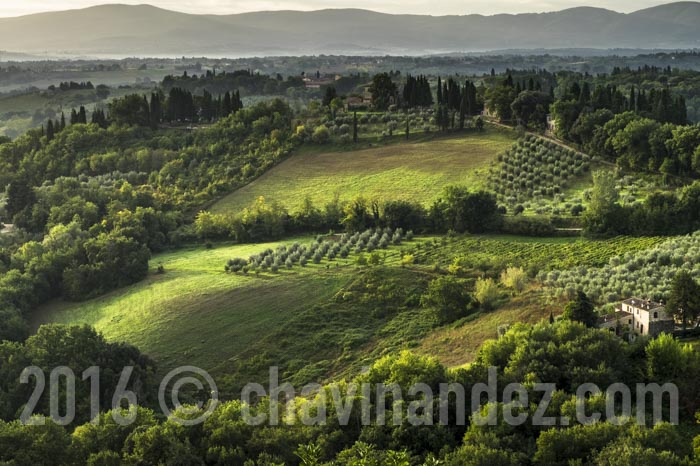 Panoramic views of Vineyards and fields in SanGimignano, Tuscany, Italy