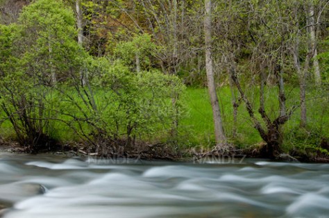 PALLARS-SOBIRA-2010-234
