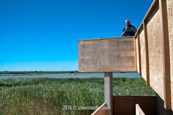 Las Ollas lagoon. Delta del Ebro Nature Park. Tarragona. Spain