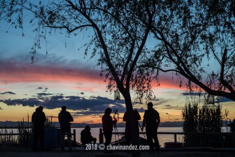 Albufera de Valencia, Mediterranean landscape, Spain