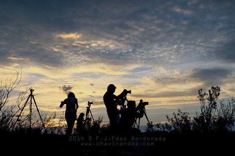 15263856818_2244a71a62_z