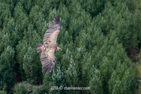 Taller de fotografía en Soria con Photolocus