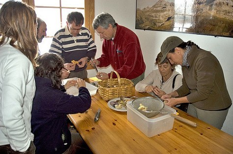 2998868379_c0429aaf51_z