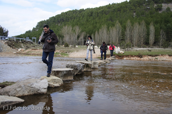 4471084406_d00cbb828a_o